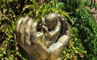 Imagem simbólica de proteção à vida. (Foto: Reprodução/Pixabay)