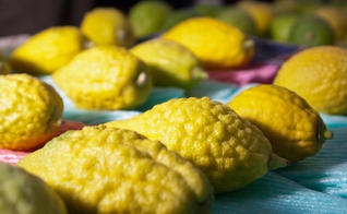 (Foto: Mazkeret Batia, Israel/Creative Commons)