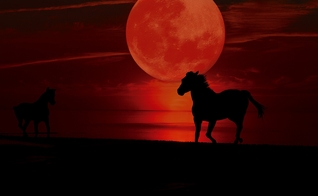 Representação da Lua de Sangue. (Foto: neelam279/Pixabay)