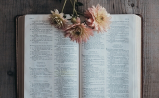(Foto: Sixteen Miles Out/Unsplash)