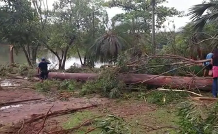 A tragédia aconteceu no parque Lagoa do Taquaral, na terça-feira (24). (Foto: Reprodução/EPTV).