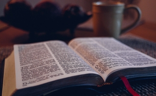 (Foto: Unsplash/Aaron Burden)