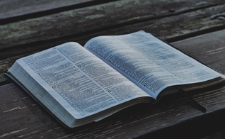 Não havia sido feita uma tradução para as línguas minoritárias. (Foto: Unsplash/Aaron Burden)