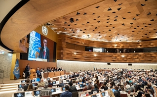 A Coreia do Norte foi um dos novos países eleitos para o conselho da OMS. (Foto: World Health Organization).