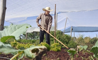 Prudencio plantou alface para construir igreja. (Foto: MultimediaUP).