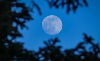Lua no céu. (Foto representativa: Unsplash/Kym Mackinnon)