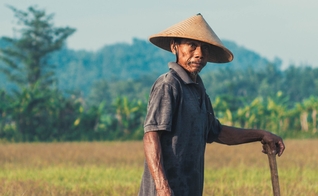 Imagem ilustrativa. (Foto: Unsplash/Sebastian Staines).