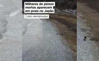 Imagem dos peixes mortos chegando à beira de uma praia no Japão. (Captura de tela: YouTube CNN Brasil)