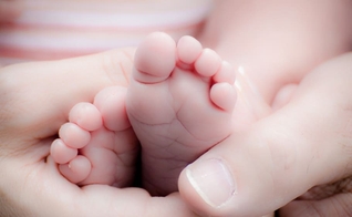 Corpos de bebês abortados são vendidos por clínica de aborto. (Foto representativa: Piqsels)