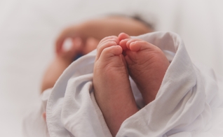 Imagem ilustrativa. (Foto: Unsplash/ Luma Pimentel).