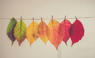 (Foto: Unsplash/Chris Lawton)