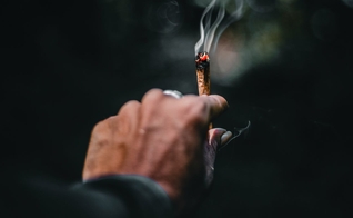 Dr. Robert Page: “A cannabis não é um espectador inocente quando se trata de saúde cardiovascular.” (Foto: Unsplash/Ahmed Zayan)