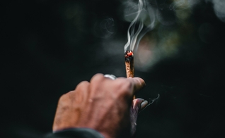 Qualquer pessoa com 18 anos ou mais pode consumir cannabis em locais privados. (Foto: Unsplash/Ahmed Zayan)