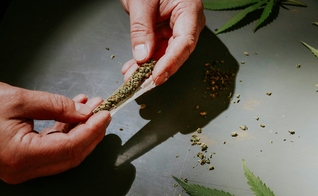 Maioria dos brasileiros são contra a liberação da maconha. (Foto ilustrativa: Unsplash/Elsa Olofsson)