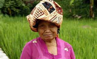 Idosa sundanesa perto de um arrozal, em Garut, Java Ocidental. (Foto ilustrativa: Wikipedia)