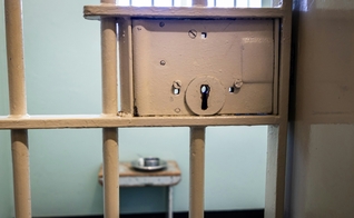 Imagem ilustrativa. (Foto: Unsplash/Grant Durr).