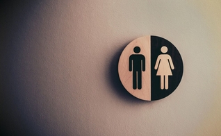 Imagem Ilustrativa. (Foto: Reprodução/Unsplash/Tim Mossholder)