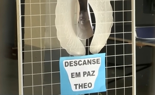 Theo, de 5 anos, foi jogado de uma ponta pelo pai no RS. (Foto: Imagem ilustrativa/Reprodução/YouTube/Brasil Urgente).