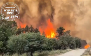 Incêndios suspeitos se espalham perto de Jerusalém. (Captura de tela/Instagram/jewishbreakingnews)