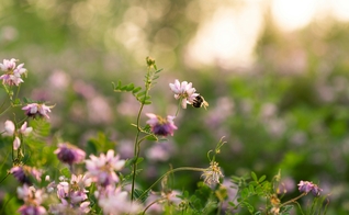 (Foto: Unsplash/Kristen Perrine)