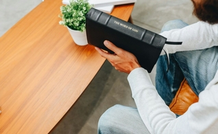 Imagem Ilustrativa. (Foto: Reprodução/Unsplash/Humble Lamb)
