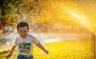 (Foto: Unsplash/Mi Pham)
