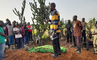 Documento descreve Nigéria como “o lugar mais perigoso do mundo para os cristãos”. (Foto: ICC)