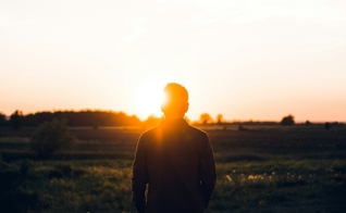 (Foto: Unsplash/Warren)