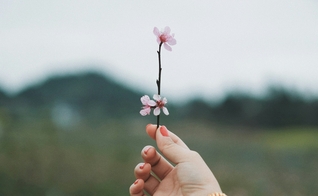 (Foto: Thirteen .J / Unsplash)