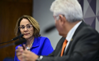 Damares Alves na sessão da Comissão de Direitos Humanos do Senado. (Foto: Saulo Cruz/Agência Senado)