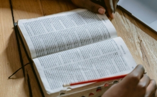 Imagem ilustrativa. (Foto: Pexels/Tima Miroshnichenko).