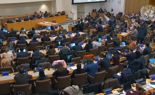 O Terceiro Comitê da Assembleia Geral das Nações Unidas aprovou a resolução. (Foto: Captura de tela/ONU).