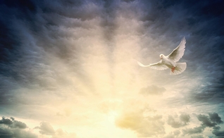 (Foto: Johannes Plenio / Unsplash)