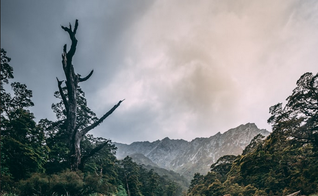 (Foto: Timothy Chan / Unsplash)