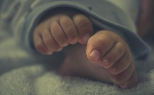 Imagem ilustrativa. (Foto: Unsplash/James V Sajeeve)
