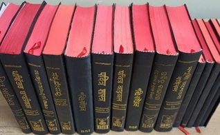 As Bíblias indianas. (Foto: Reprodução/Global Christian Relief)