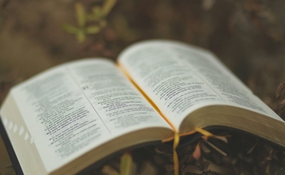 (Foto: Oscar Ivan Esquivel Arteaga / Unsplash)