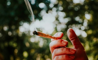 (Foto: Unsplash / Elsa Olofsson)