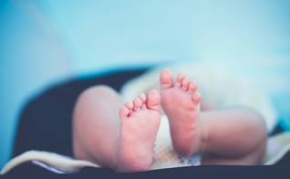 A divulgação da pesquisa provocou reações divididas na comunidade científica. (Foto: Janko Ferlič / Unsplash)