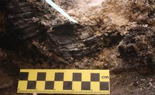 Anéis de crescimento das vigas de madeira descobertas na Cidade de Davi. (Foto: Efrat Bocher/ Autoridade de Antiguidades de Israel)