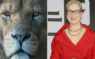 Meryl Streep dará voz a Aslan no novo filme de “Nárnia”. (Foto: Reprodução/MovieGuide/Wikimedia Commons)