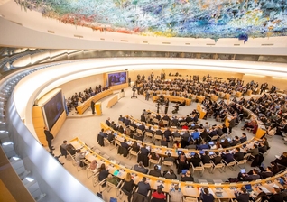 Conselho de Direitos Humanos das Nações Unidas. (Foto: Imagem ilustrativa/ONU/Elma Okic).