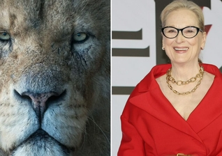 Meryl Streep dará voz a Aslan no novo filme de “Nárnia”. (Foto: Reprodução/MovieGuide/Wikimedia Commons)