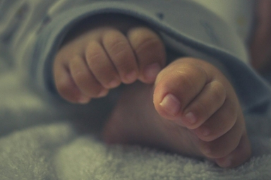 Imagem ilustrativa. (Foto: Unsplash/James V Sajeeve)