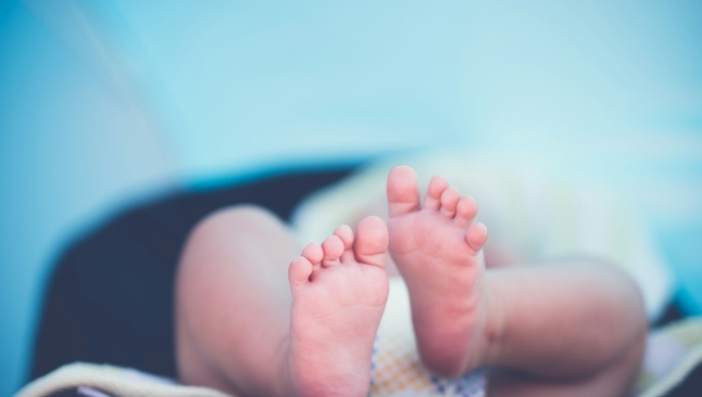 A divulgação da pesquisa provocou reações divididas na comunidade científica. (Foto: Janko Ferlič / Unsplash)