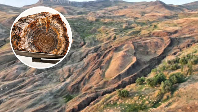 Formação de Durupınar, possível local da Arca de Noé; em destaque, representação de madeira petrificada, material possivelmente atingido pela perfuração. (Captura de tela: YouTube/Noah’s Ark Scans)