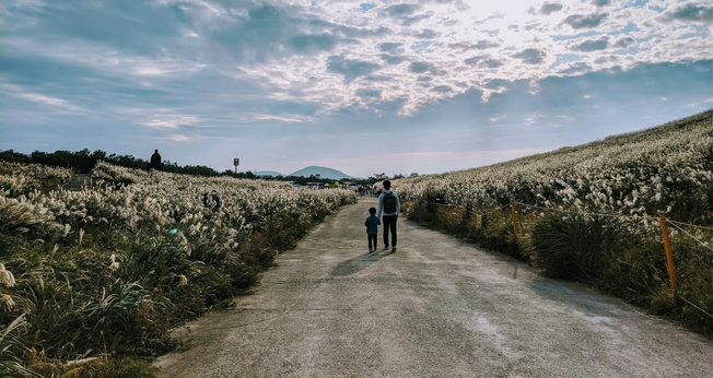(Foto: Unsplash/Ben Kim)