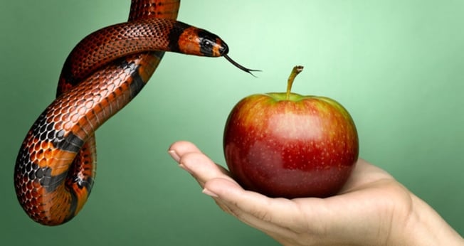 Serpente e maçã. (Foto: Getty)