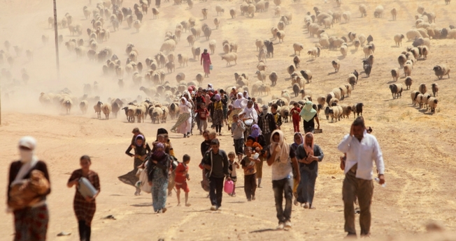 Refugiados do Iraque