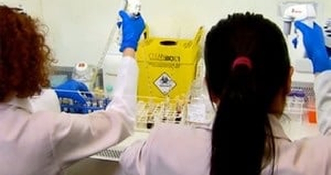 Vacina contra dengue produzida pela USP